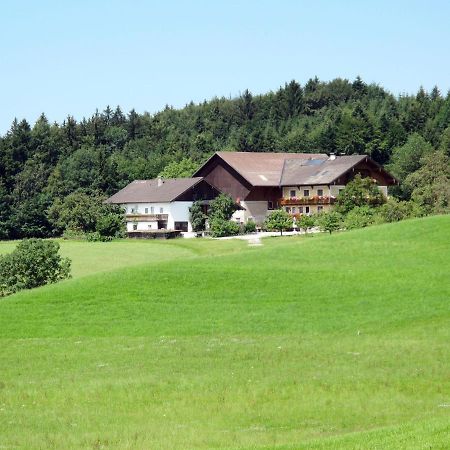 Apartment Bauernhof Vorderroid - Mon400 Oberhofen am Irrsee 외부 사진