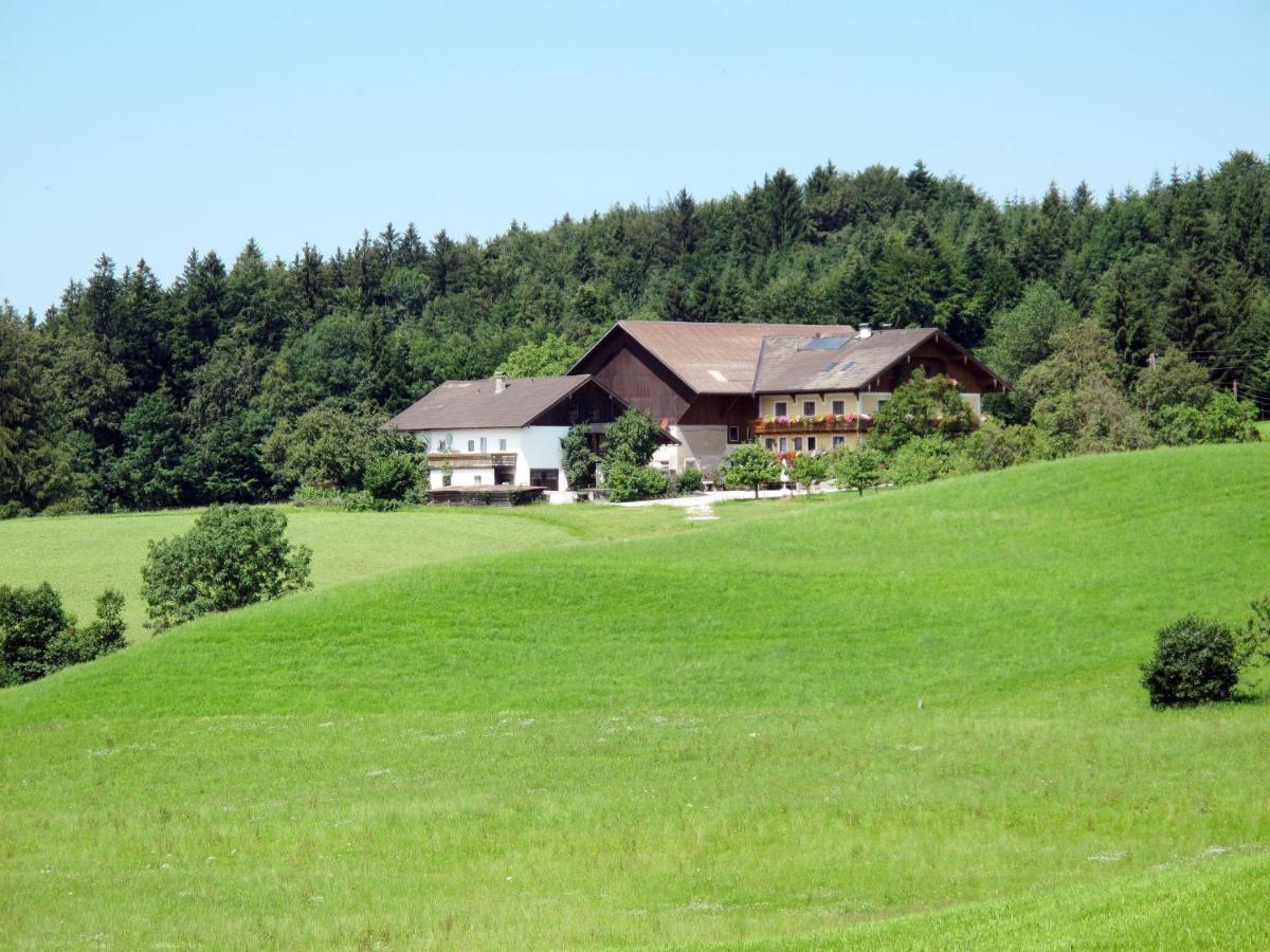 Apartment Bauernhof Vorderroid - Mon400 Oberhofen am Irrsee 외부 사진